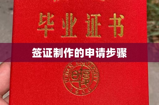 大宁签证制作的申请步骤