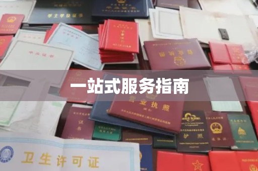 大宁一站式服务指南