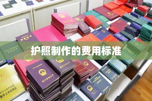 大宁护照制作的费用标准