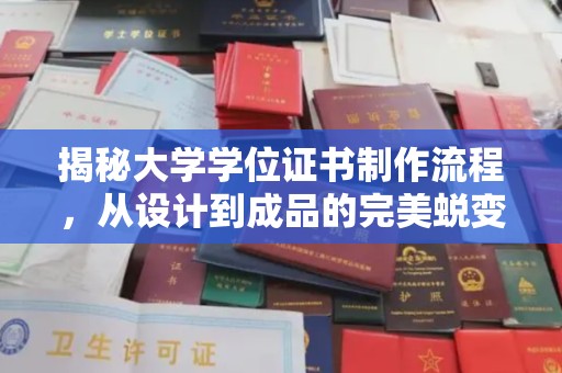 大宁揭秘大学学位证书制作流程，从设计到成品的完美蜕变