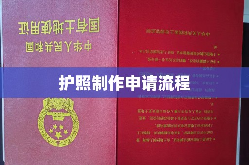大宁护照制作申请流程