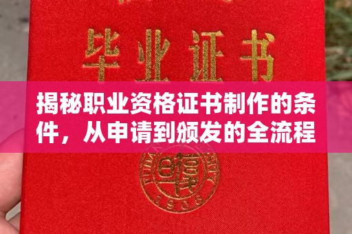 大宁揭秘职业资格证书制作的条件，从申请到颁发的全流程解析