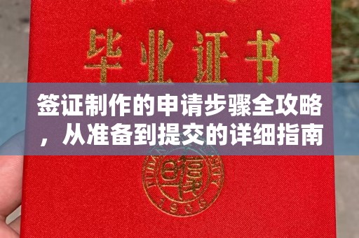 大宁签证制作的申请步骤全攻略，从准备到提交的详细指南